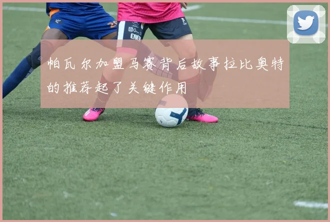 帕瓦尔加盟马赛背后故事拉比奥特的推荐起了关键作用
