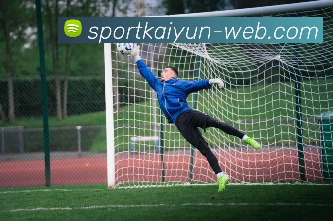 开云体育平台生态图