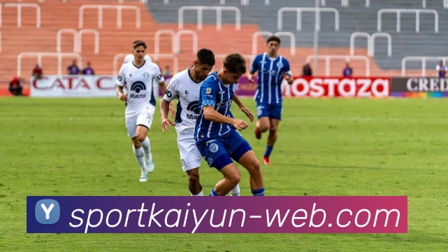 开云体育APP 封面图